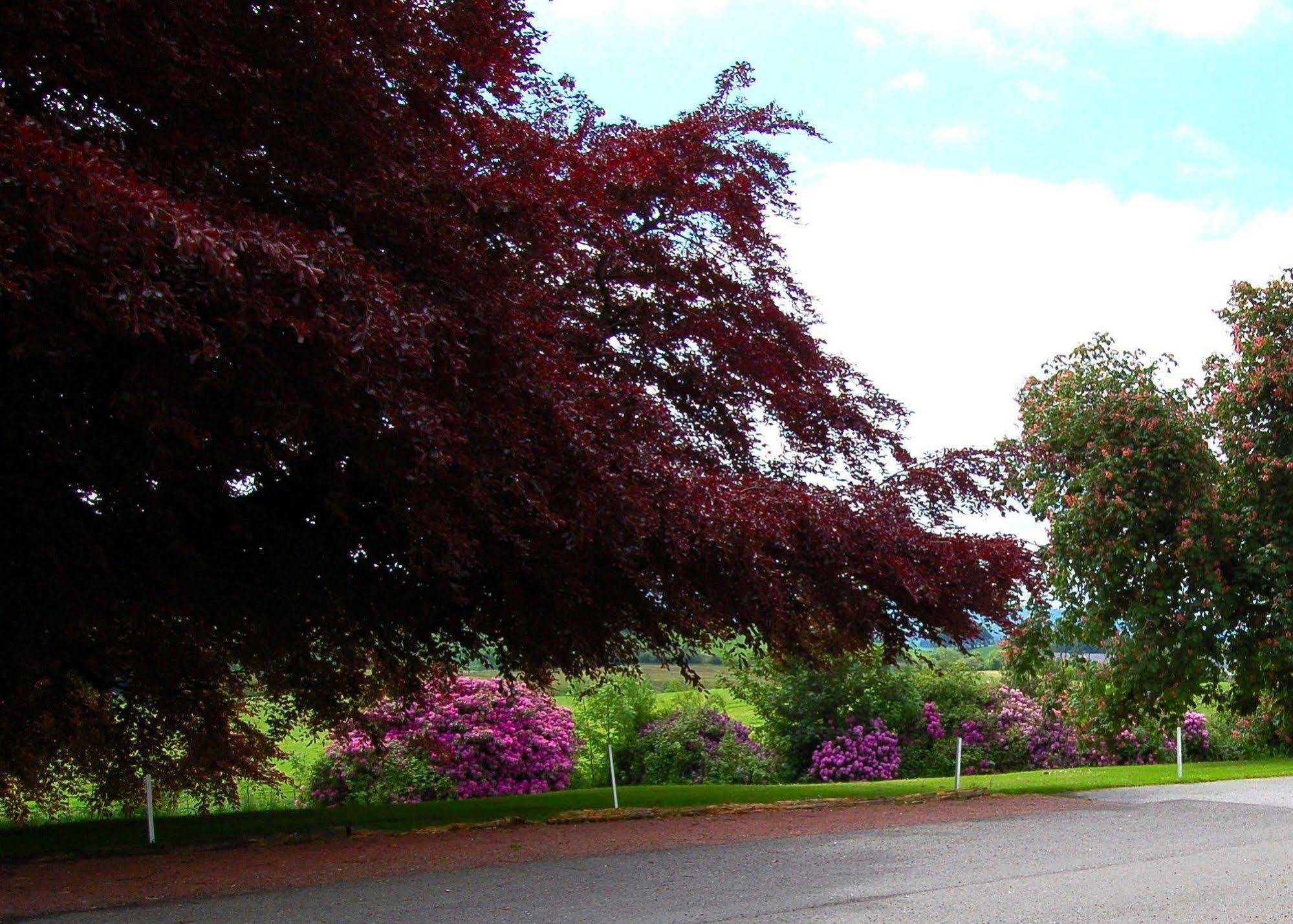 The Urr Valley Country House Hotel Castle Douglas Exteriér fotografie